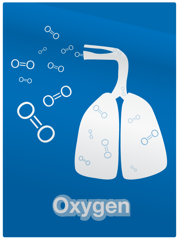 اکسیژن برای زندگی